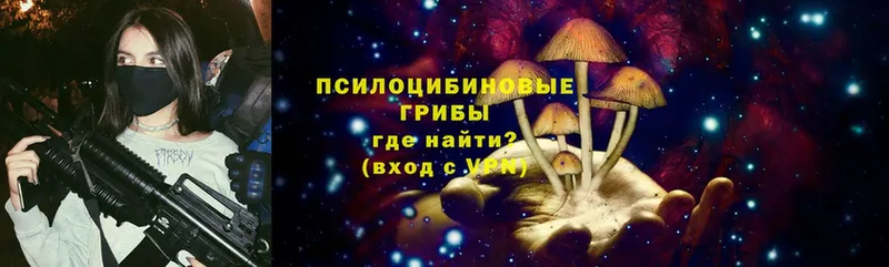 omg ссылка  Беслан  Галлюциногенные грибы Psilocybe 